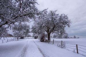 Olympus 21.01.14 17 21 11 02