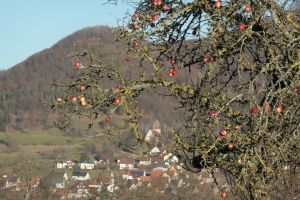 Blick auf Talheimer Kirche