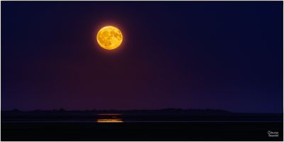 christian t.   export 2025 10 02