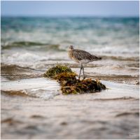 christian t.   export 2025 10 02