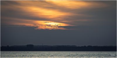 christian t.   export 2025 10 02