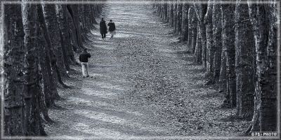 fsch p1040456 rw2 ps s