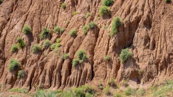 2022 06 07 m kirkistan