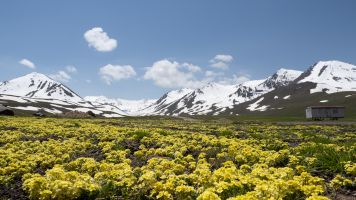 2022 06 08  m kirkistan