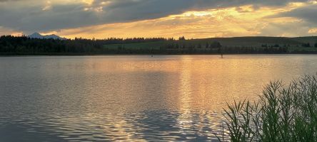 natur 04 img 20240808